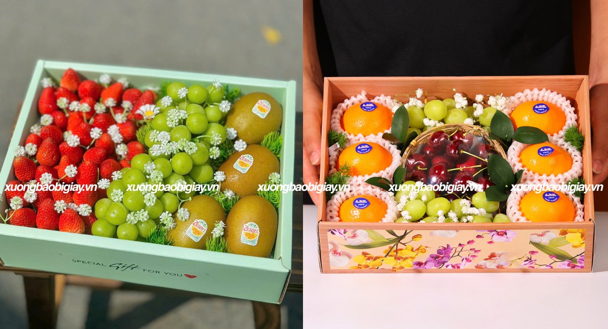 Khay giấy đựng hoa quả, trái cây làm quà tặng