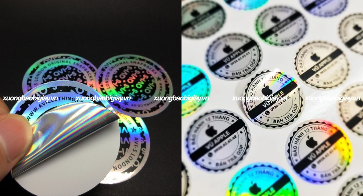 Tem Hologram