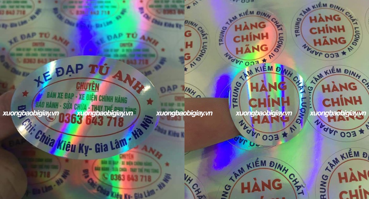 Tem hologram