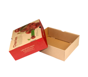 Thùng carton đựng trái cây
