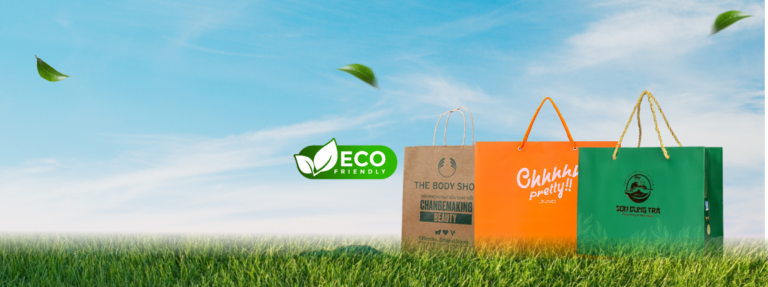 Túi giấy - Ảnh chính