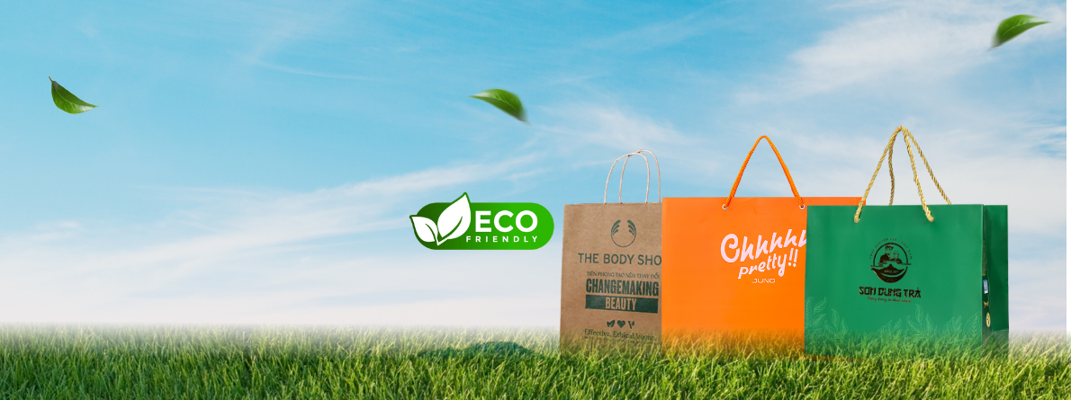 Túi giấy - Ảnh chính