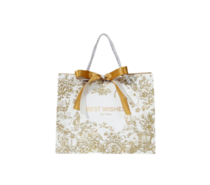 Túi giấy đựng quà tặng