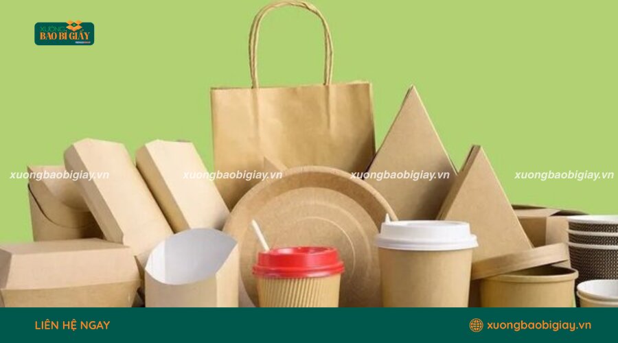 Hệ sinh thái sản phẩm đa dạng từ Xưởng Bao Bì Giấy