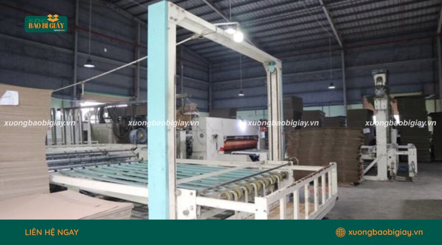 Hệ thống dây chuyền tự động hóa giúp tối ưu năng suất và đồng nhất chất lượng