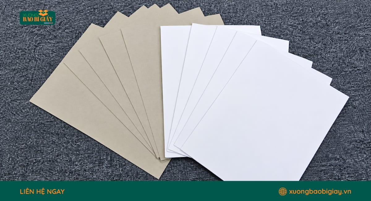 Giấy Duplex là chất liệu phổ biến cho các mẫu in túi giấy có yêu cầu về độ cứng và chi phí.