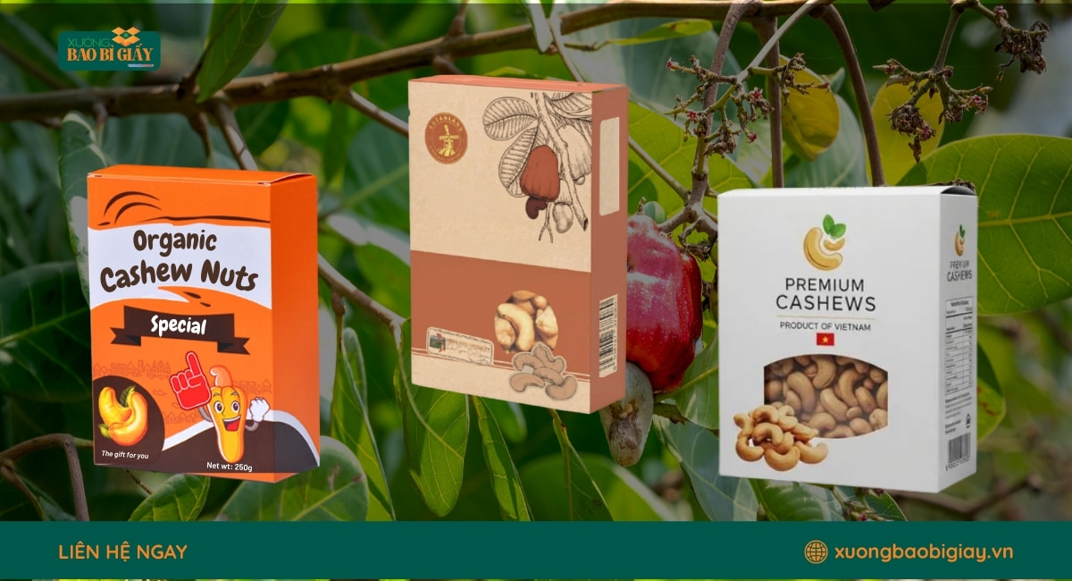Hộp giấy đựng hạt điều in offset sắc nét, phù hợp cho thương hiệu thực phẩm cao cấp.