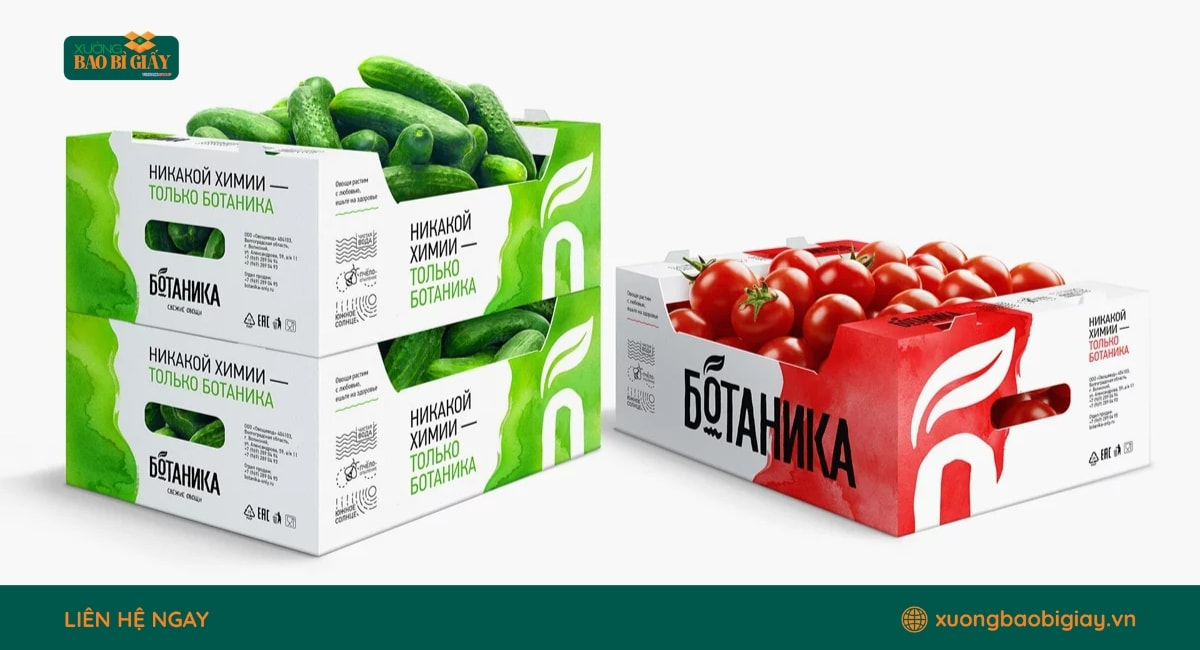 In thùng carton đựng rau củ trái cây giúp bảo quản nông sản hiệu quả và tăng nhận diện thương hiệu.