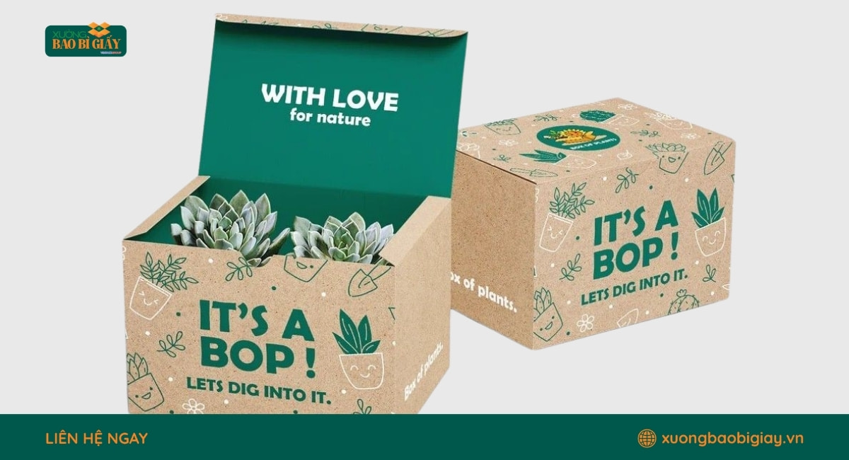 Mẫu in thùng carton đựng sen đá chắc chắn, phù hợp cho shop cây cảnh và nhà vườn.