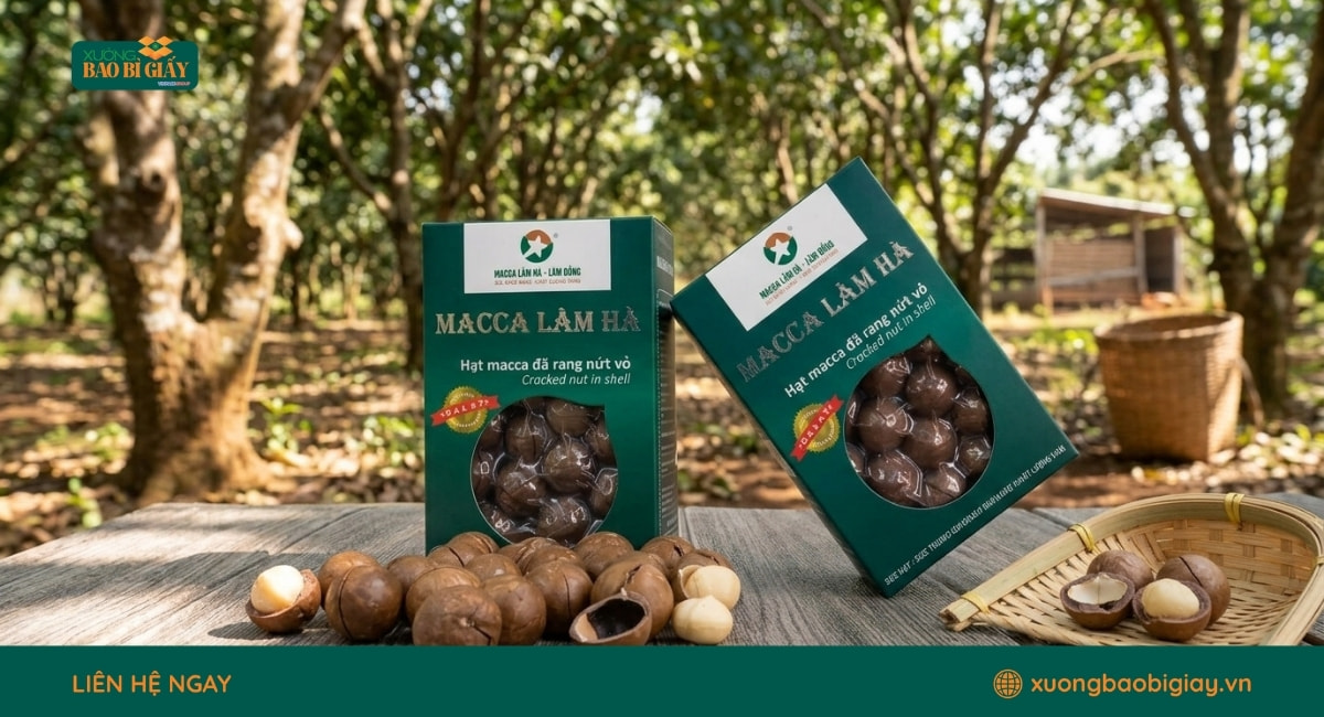 Hộp giấy đựng hạt macca bền đẹp, hỗ trợ bảo quản sản phẩm và tăng giá trị trưng bày.