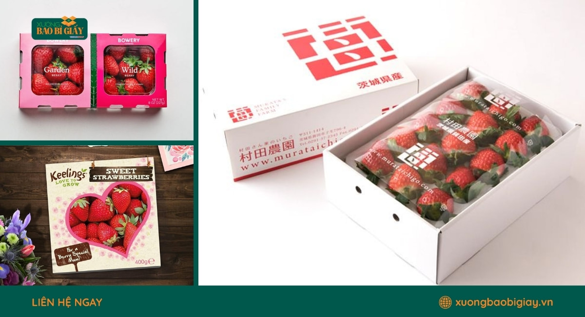 Hộp giấy đựng dâu tây thiết kế đẹp mắt, phù hợp cho nông sản sạch