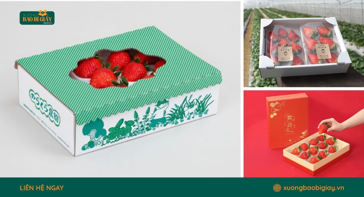 Hộp giấy đựng dâu tây in màu sắc nét, hỗ trợ quảng bá thương hiệu hiệu quả hơn.