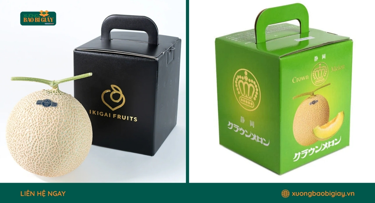 Hộp giấy đựng dưa lưới chất lượng cao dành cho doanh nghiệp nông sản