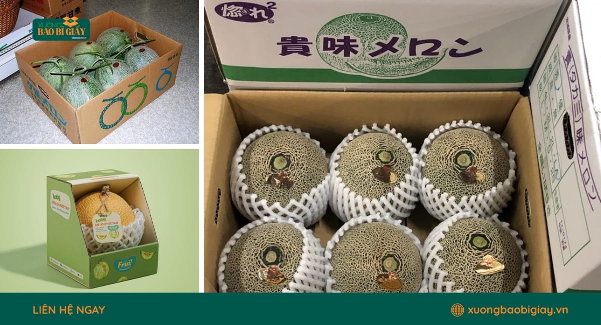 Mẫu hộp giấy đựng dưa lưới đa dạng kích thước gia công trực tiếp tại Xưởng Bao Bì Giấy