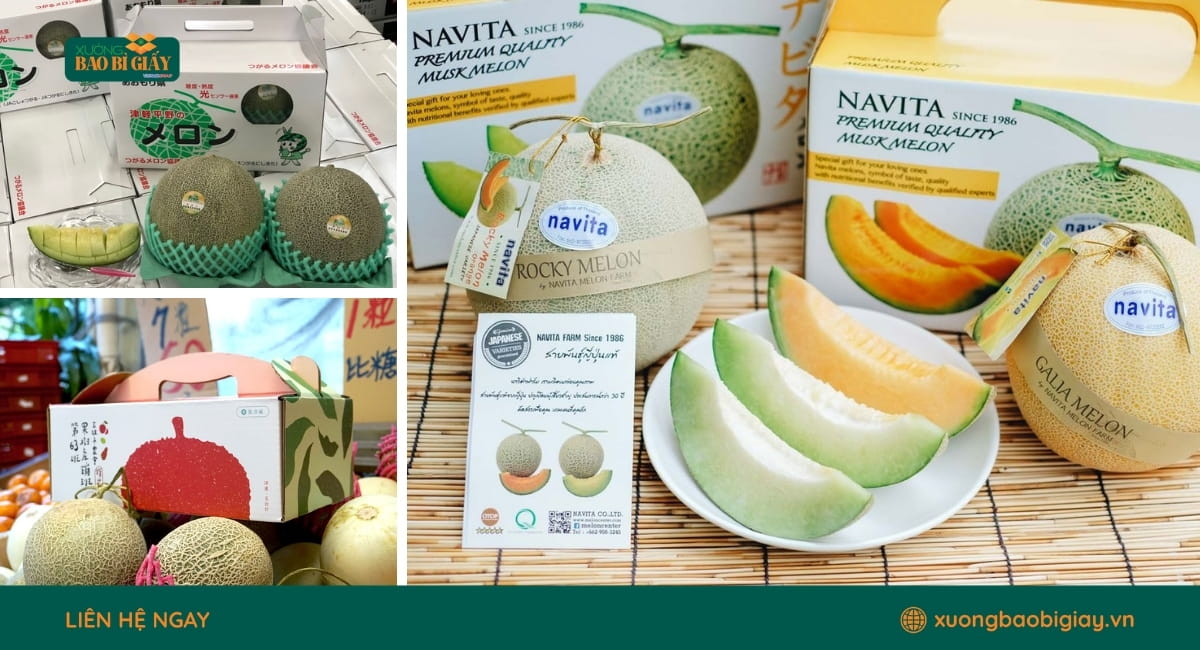 Mẫu hộp giấy đựng dưa lưới in thương hiệu riêng giúp doanh nghiệp tăng độ nhận diện trên thị trường.