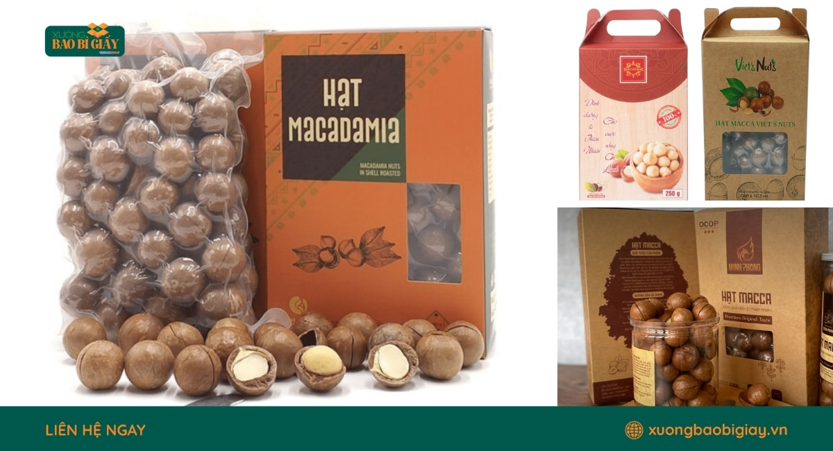 Hộp giấy đựng hạt macca thiết kế sang trọng, phù hợp cho sản phẩm cao cấp và quà tặng.