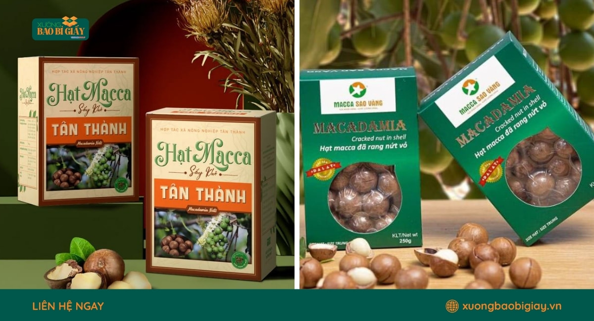 Mẫu hộp giấy đựng hạt macca hiện đại giúp tạo ấn tượng chuyên nghiệp với khách hàng.