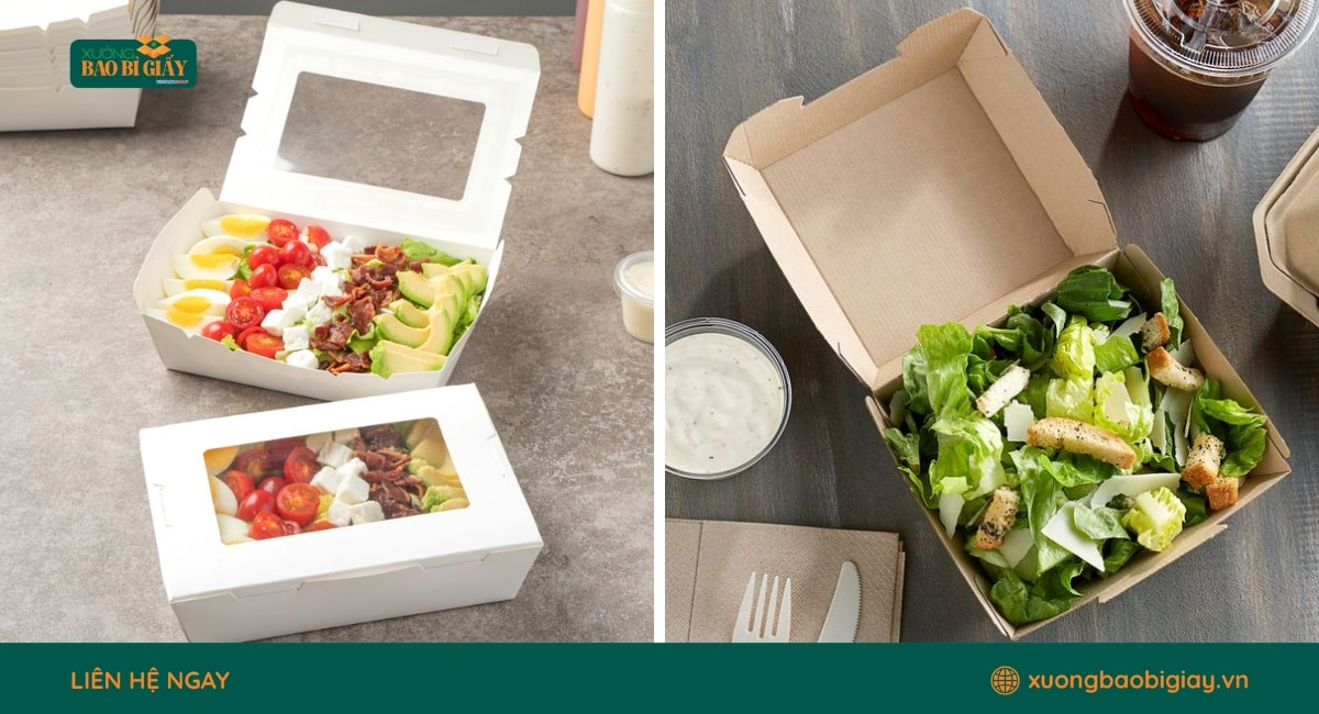 Mẫu hộp giấy đựng salad đa dạng từ hộp vuông, chữ nhật đến hộp nắp PET tiện lợi cho trưng bày thực phẩm.