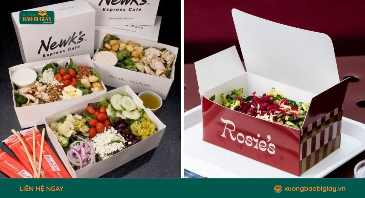 Mẫu hộp giấy đựng salad thân thiện môi trường