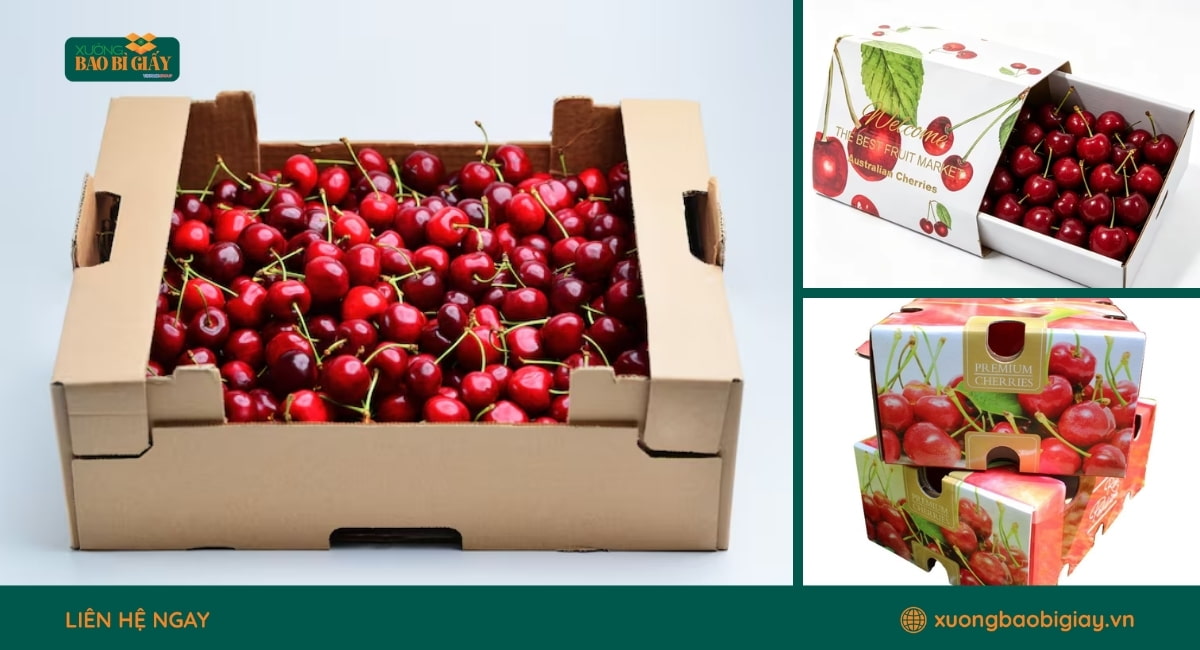 Tiêu chí sản xuất hộp giấy đựng cherry