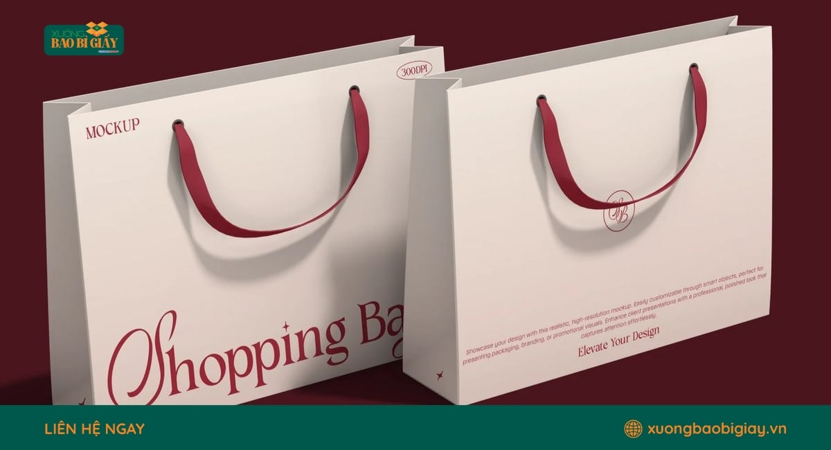 Xưởng Bao Bì Giấy in ấn túi giấy chuyên nghiệp