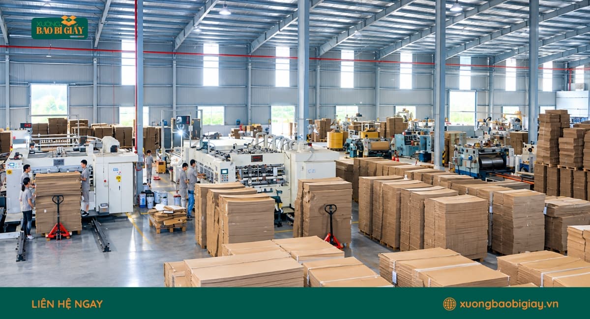 Xưởng in hộp giấy chất lượng, báo giá minh bạch
