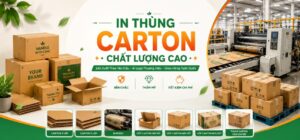 In Thùng Carton TPHCM Test Mẫu Miễn Phí, Giá Gốc Tận Xưởng