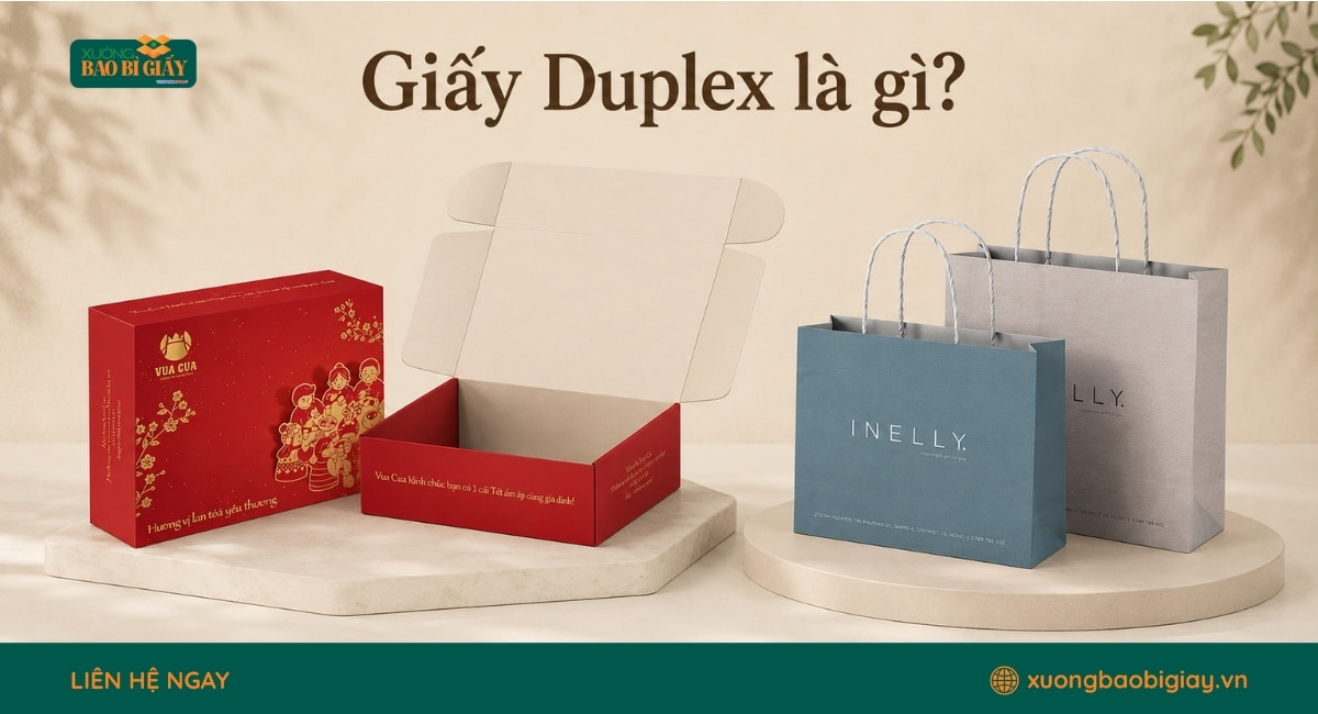 Giấy Duplex Là Gì? Phân Loại Và Ứng Dụng Của Giấy Duplex