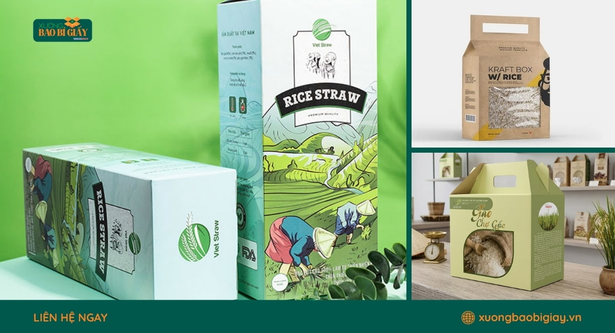 Mẫu hộp giấy đựng gạo thân thiện môi trường thay thế bao bì nhựa