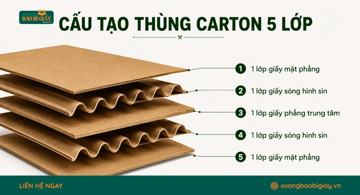 Cấu tạo thùng carton 5 lớp chắc chắn, gồm nhiều lớp giấy liên kết giúp tăng khả năng chịu lực và bảo vệ hàng hóa khi vận chuyển.