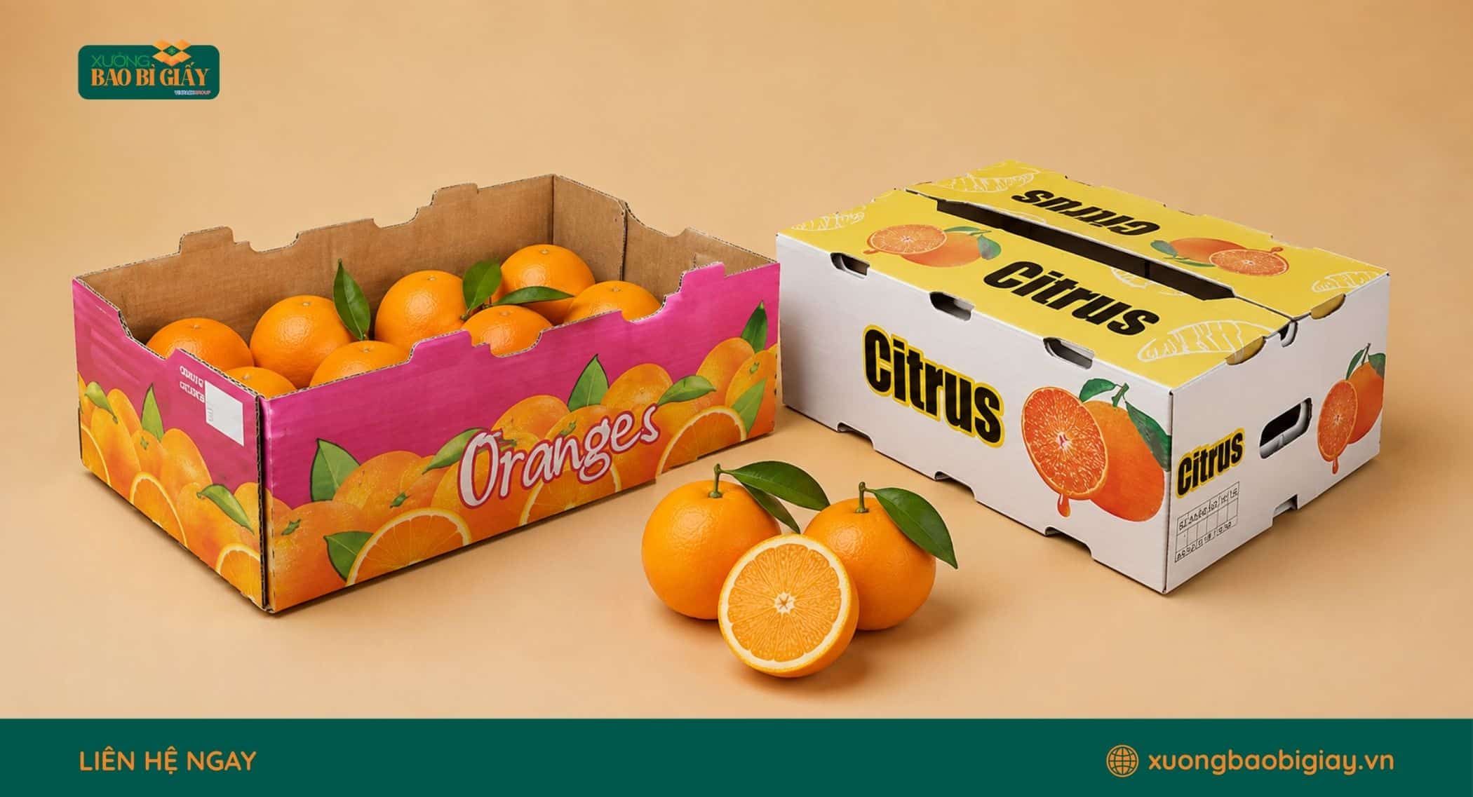 Các loại thùng carton đựng cam phổ biến hiện nay