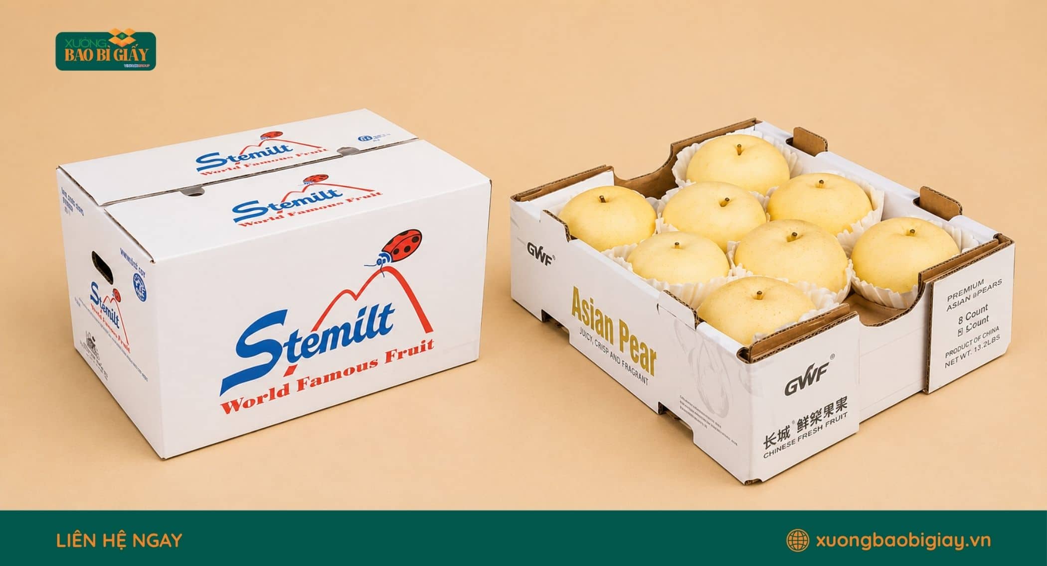 Các thông tin nên in trên thùng carton đựng lê để hỗ trợ đóng gói, nhận diện và phân phối
