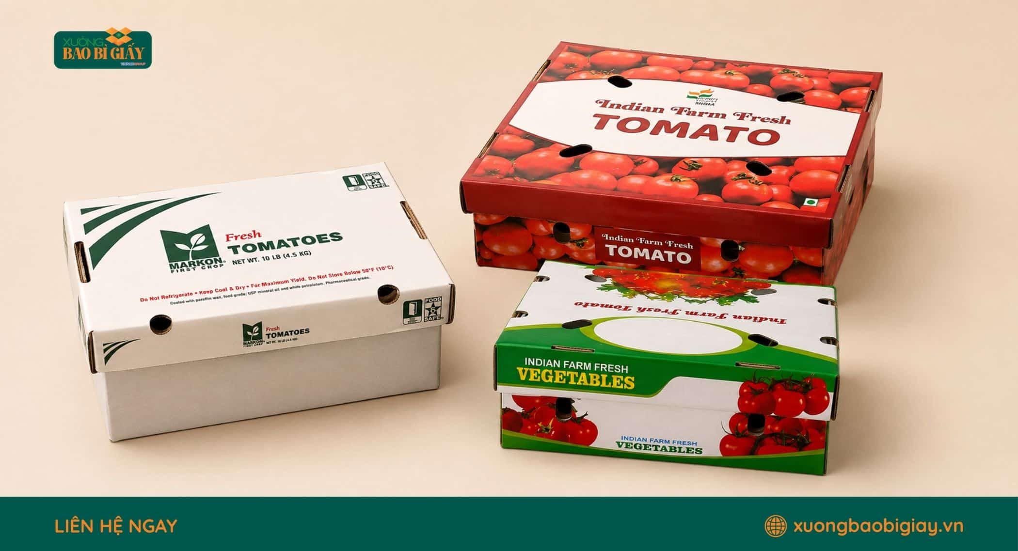Cấu tạo chi tiết thùng carton đựng cà chua giúp bảo vệ sản phẩm khi đóng gói và vận chuyển