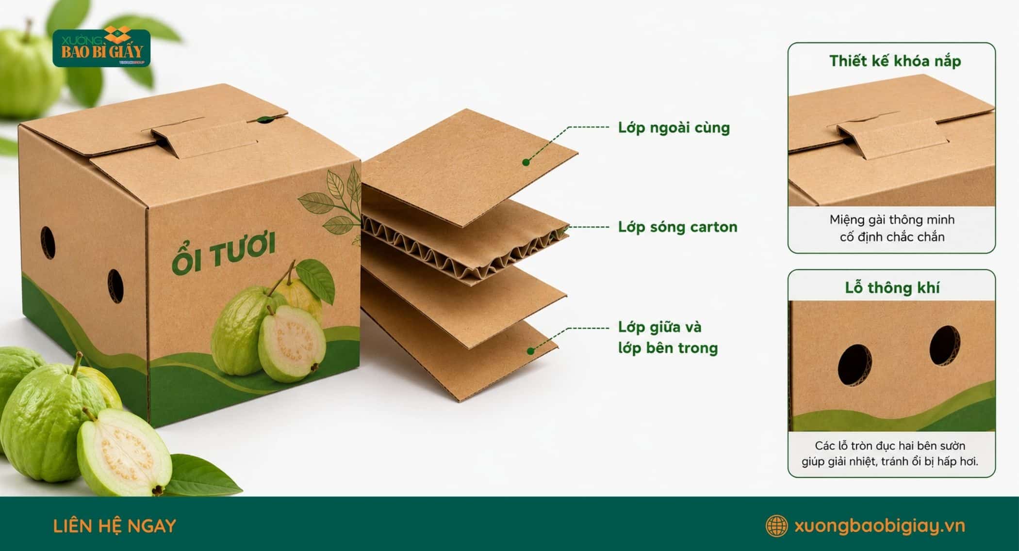 Cấu tạo thùng carton đựng ổi giúp bảo vệ trái trong quá trình đóng gói và vận chuyển