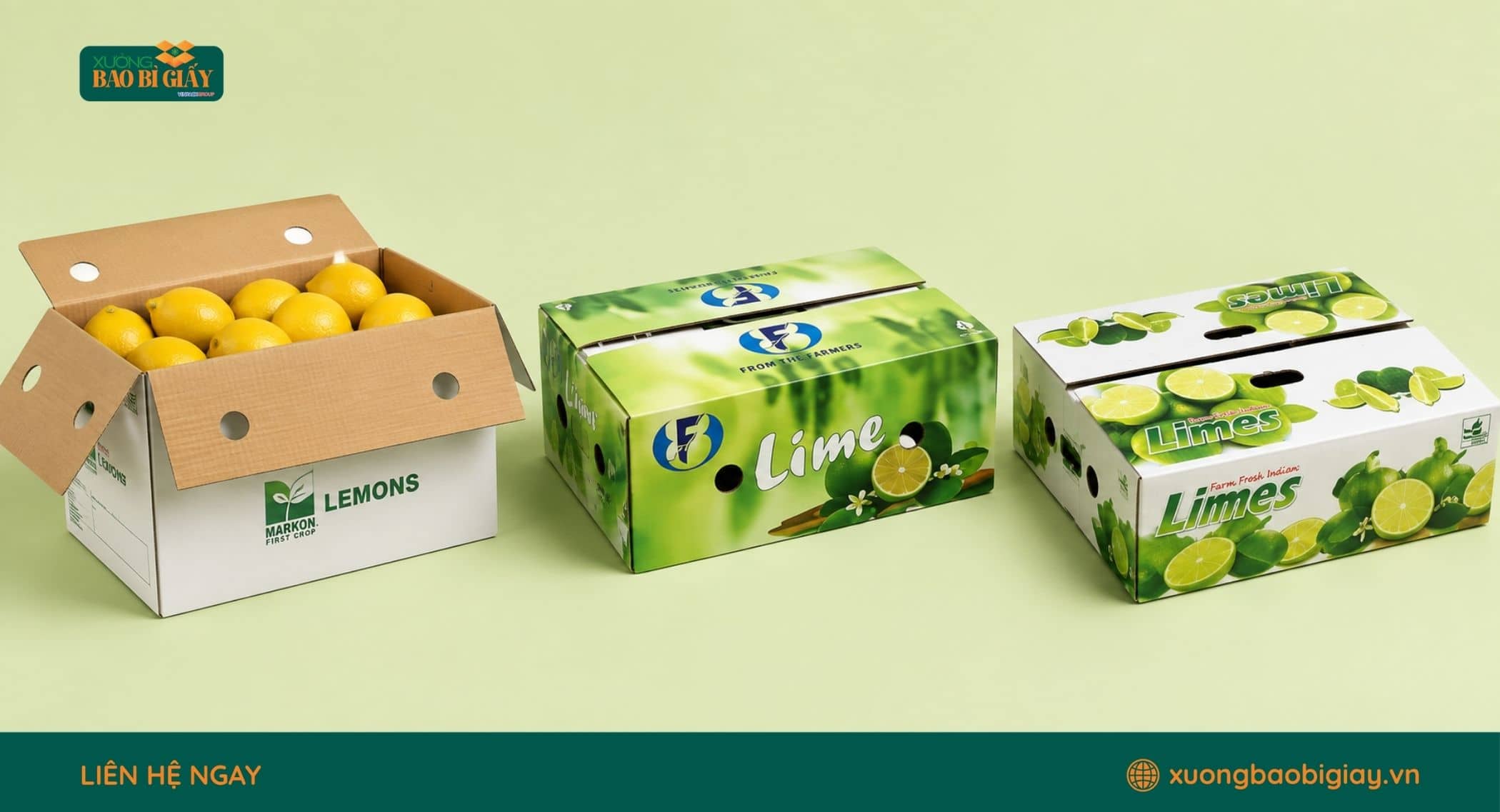 Chất liệu thùng carton đựng chanh bền chắc, phù hợp vận chuyển