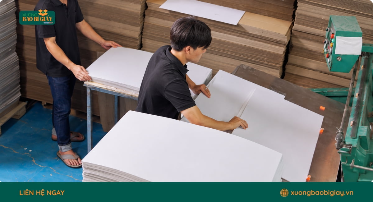 Gia công hộp giấy hàng loạt và kiểm tra thành phẩm