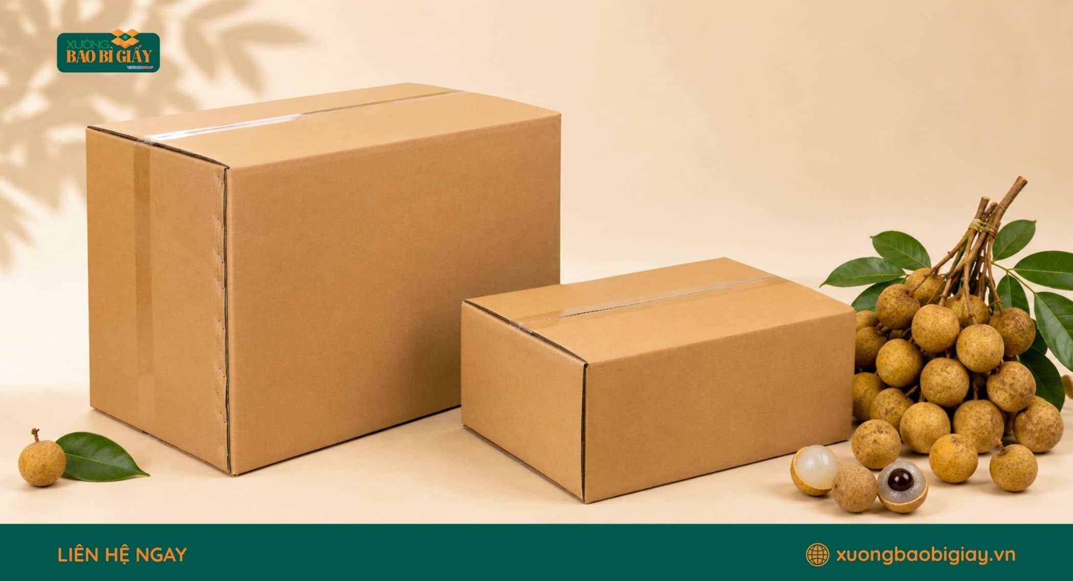 Kích thước thùng carton được lựa chọn theo khối lượng nhãn cần đóng gói