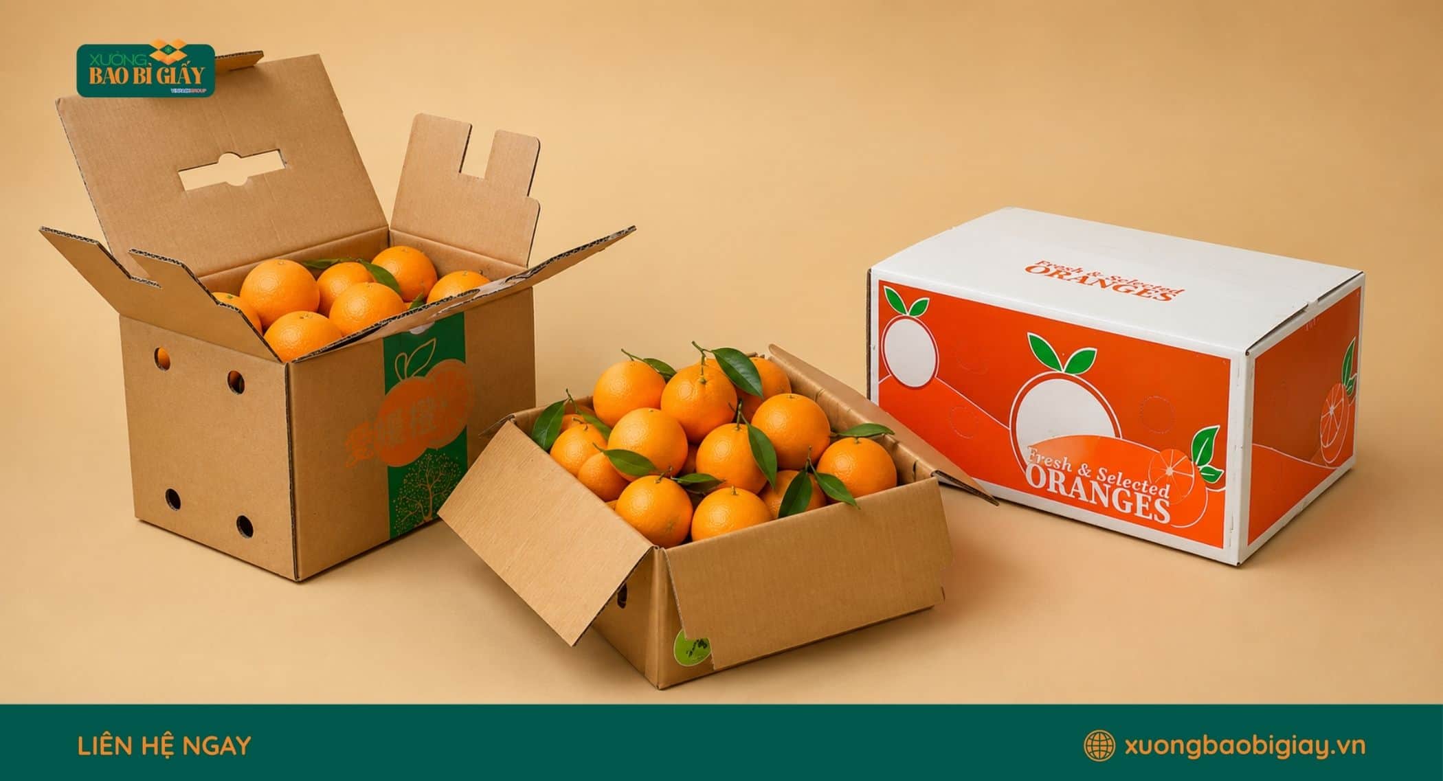 Kích thước thùng carton đựng cam phù hợp từng khối lượng đóng gói