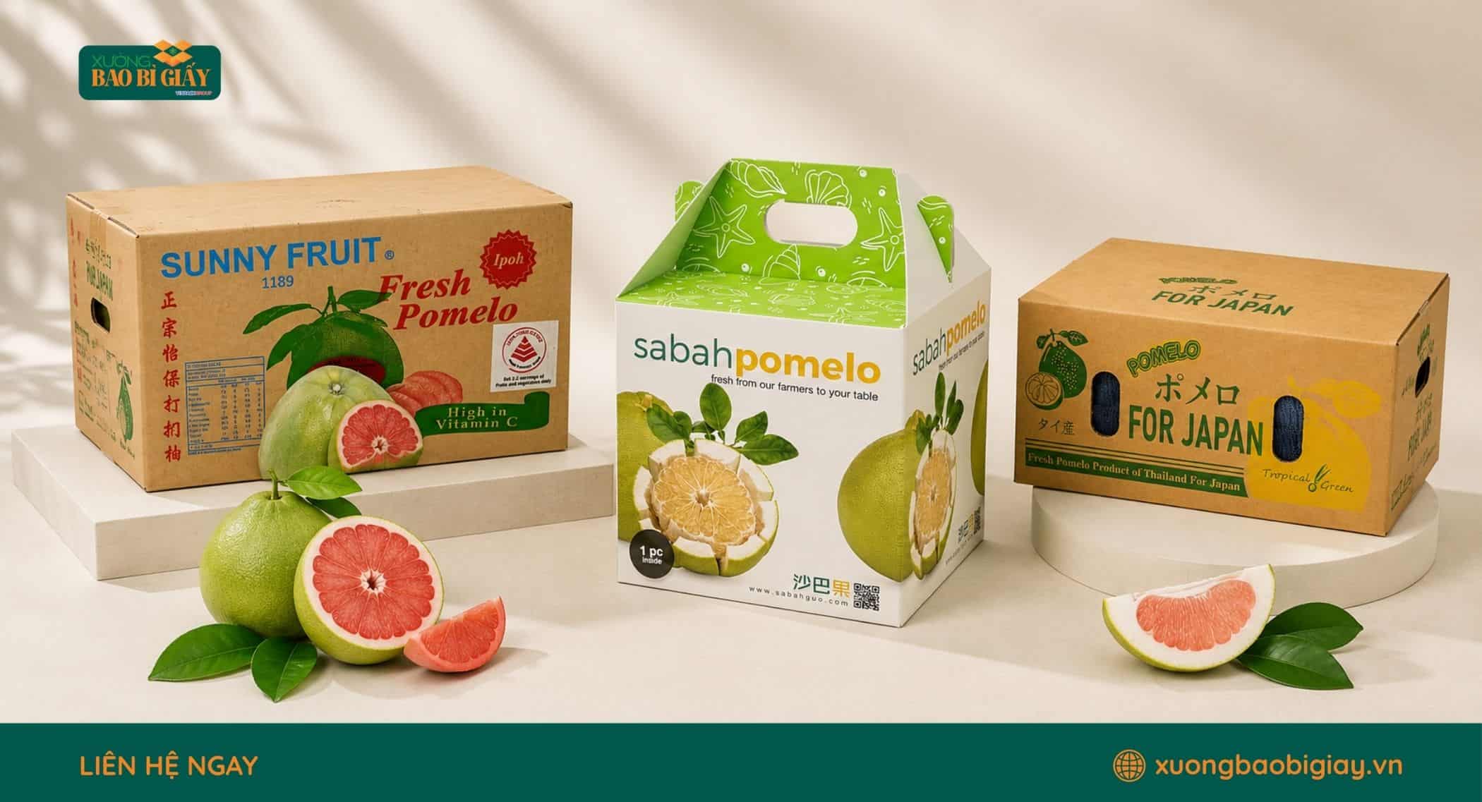 Các kiểu dáng thùng carton đựng bưởi phù hợp đóng gói, xếp chồng và vận chuyển