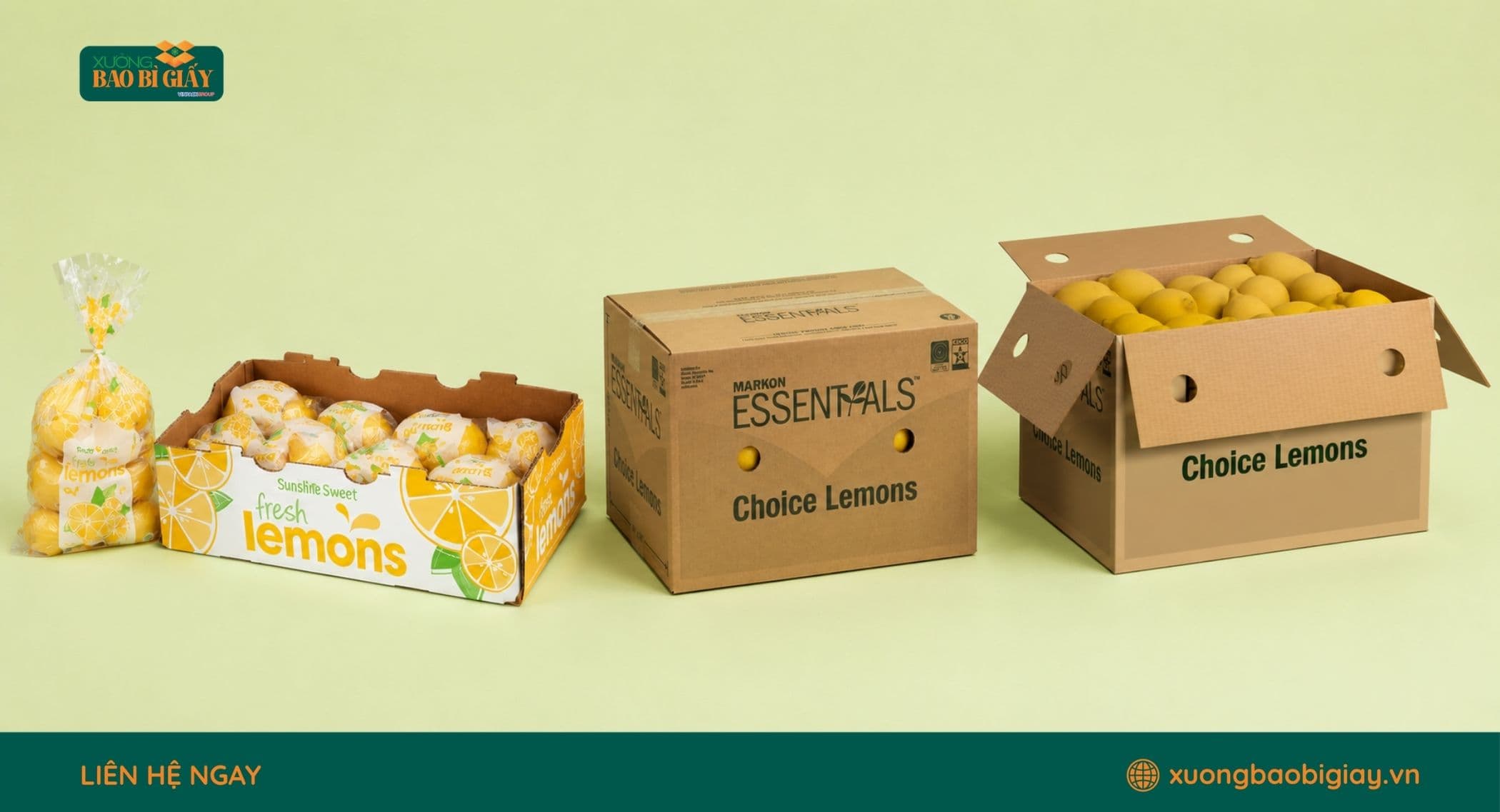 Các kiểu dáng thùng carton đựng chanh phổ biến