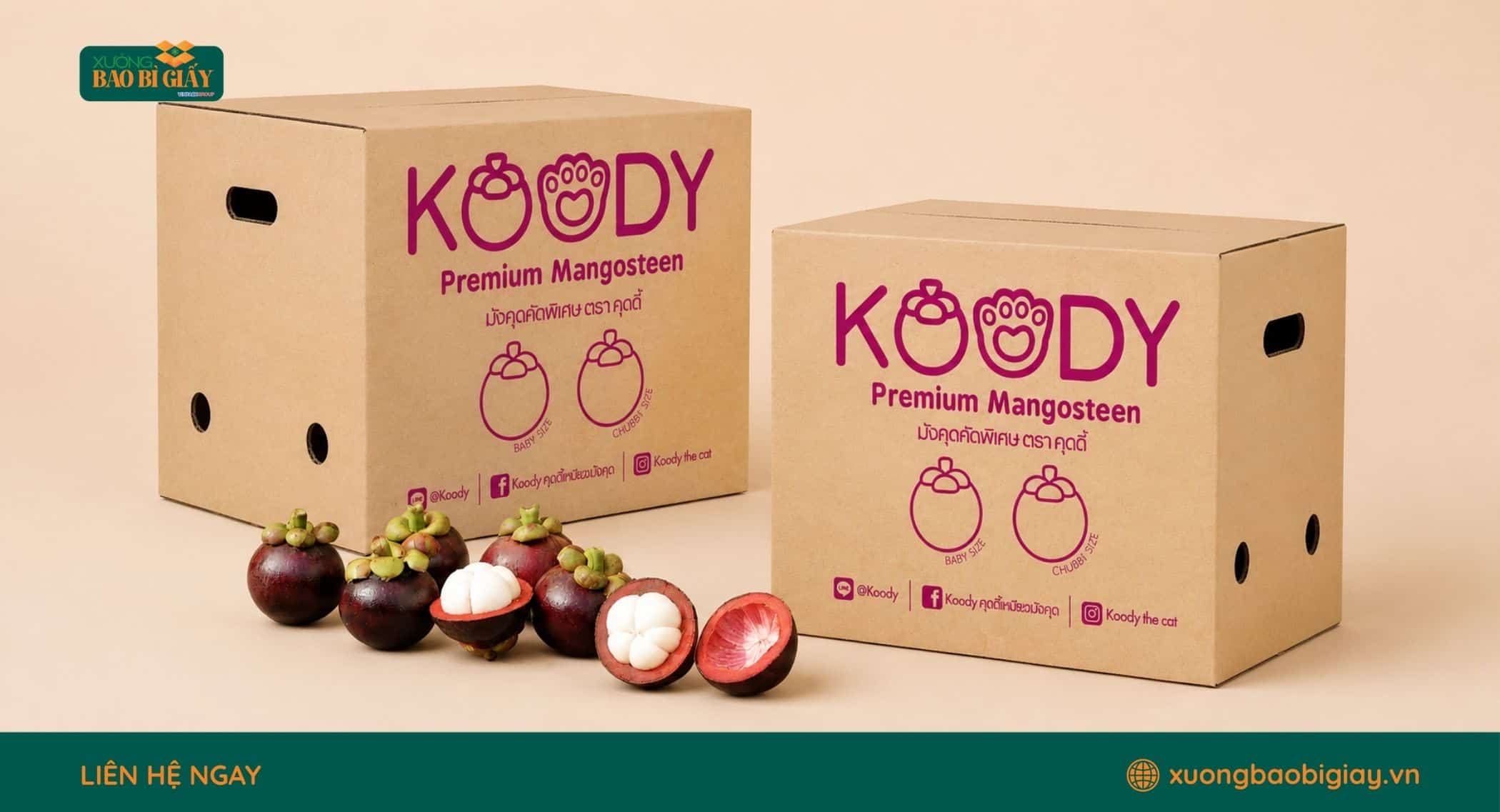 Bao bì carton giúp bảo vệ măng cụt tươi, hạn chế dập hỏng trong quá trình vận chuyển