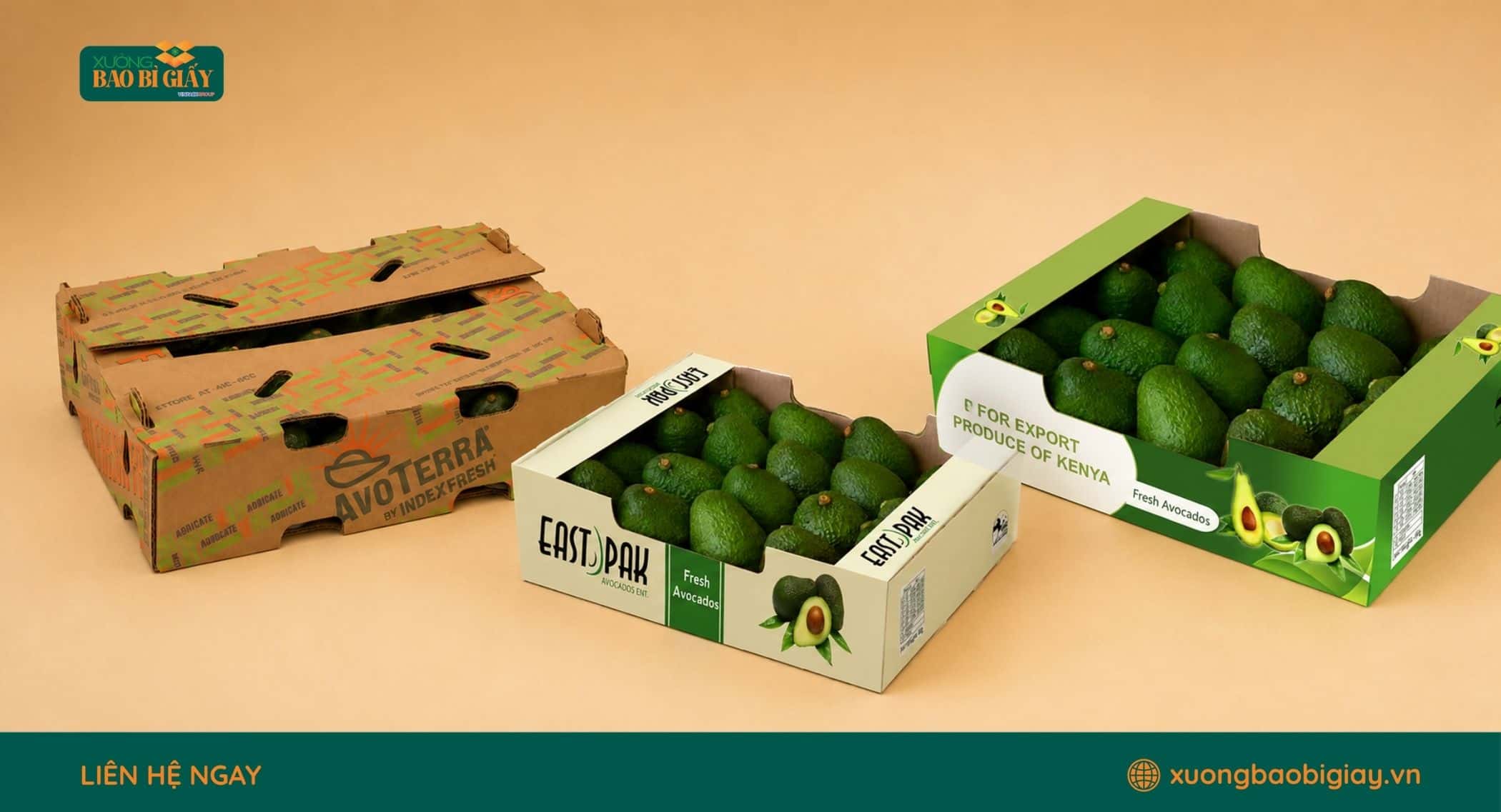 Thùng carton giúp bảo vệ bơ và thuận tiện xếp chồng khi vận chuyển