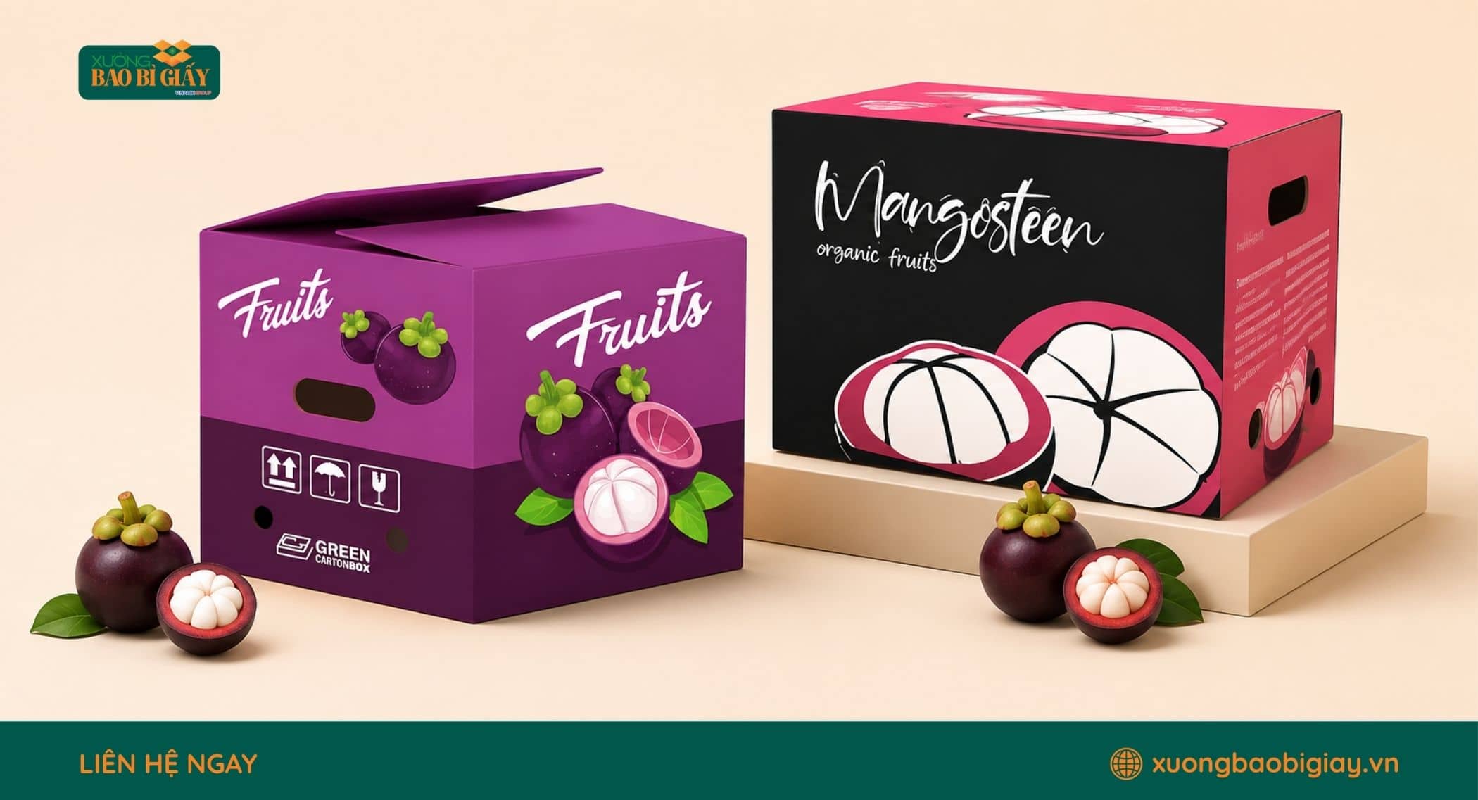 Các mẫu thùng carton đóng gói măng cụt phổ biến theo nhu cầu trưng bày và vận chuyển