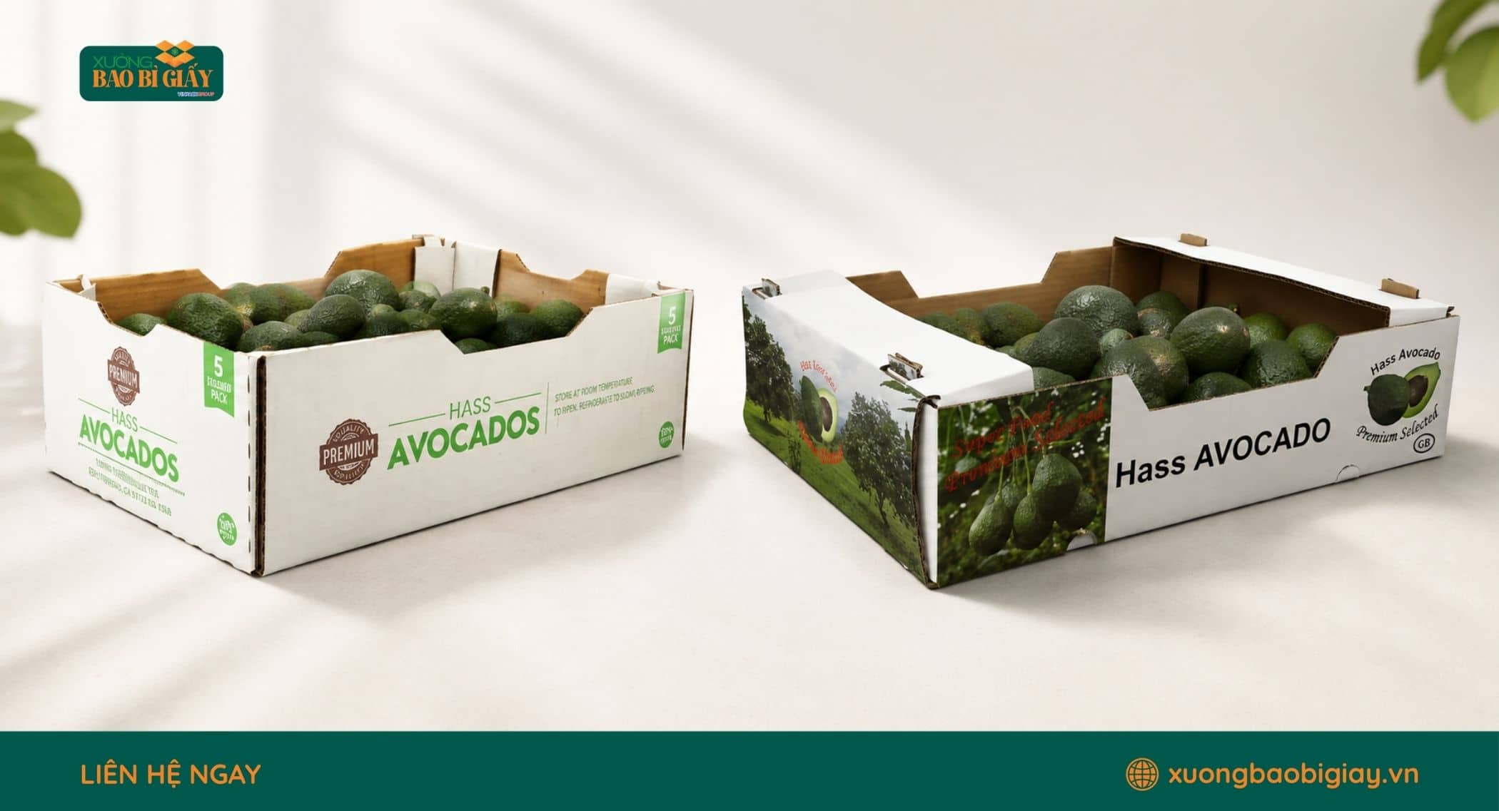 Quy trình sản xuất thùng carton từ thiết kế, tạo sóng đến gia công hoàn thiện