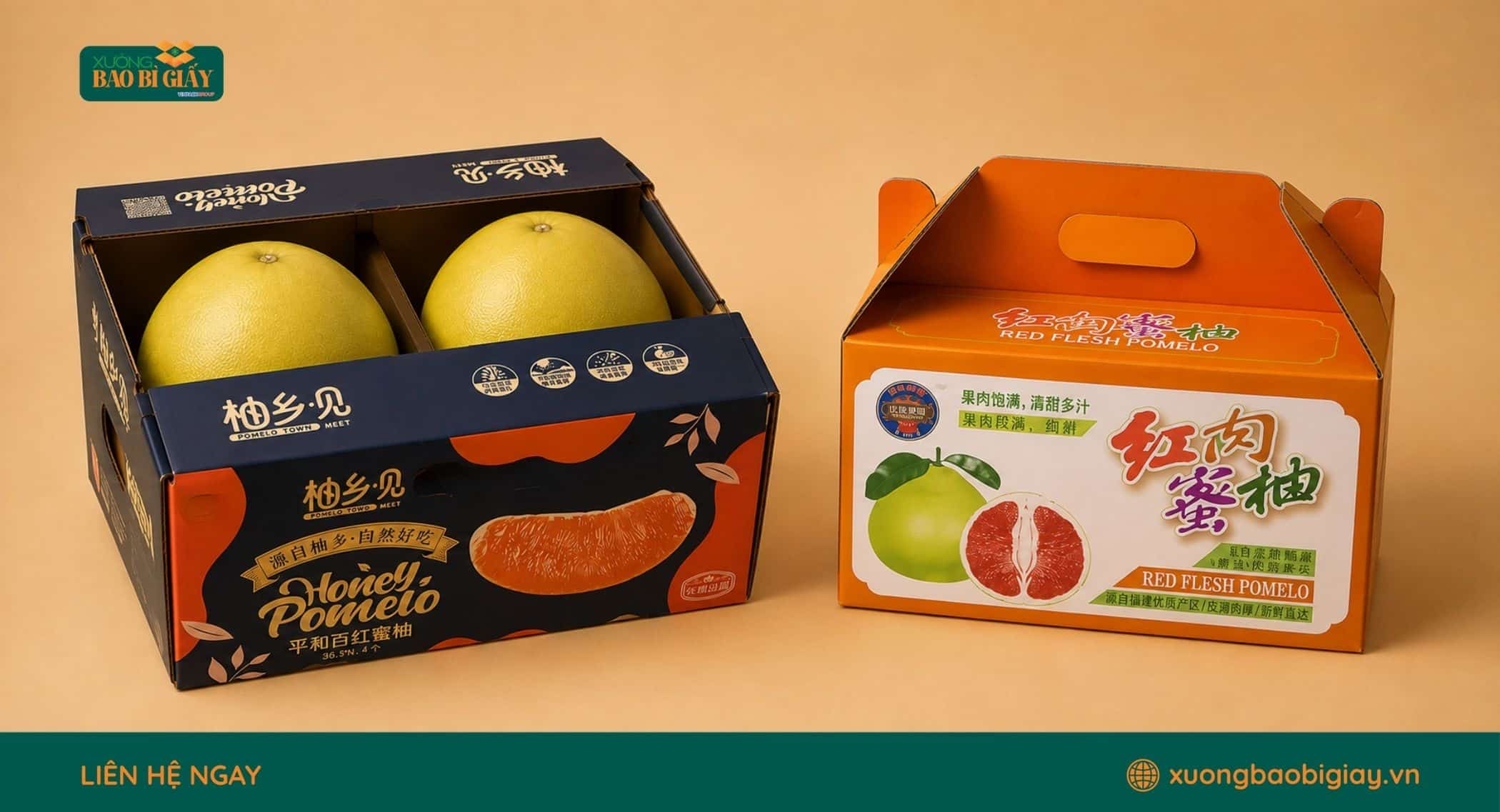 Xưởng sản xuất thùng carton đựng bưởi từ thiết kế, tạo sóng đến in và hoàn thiện