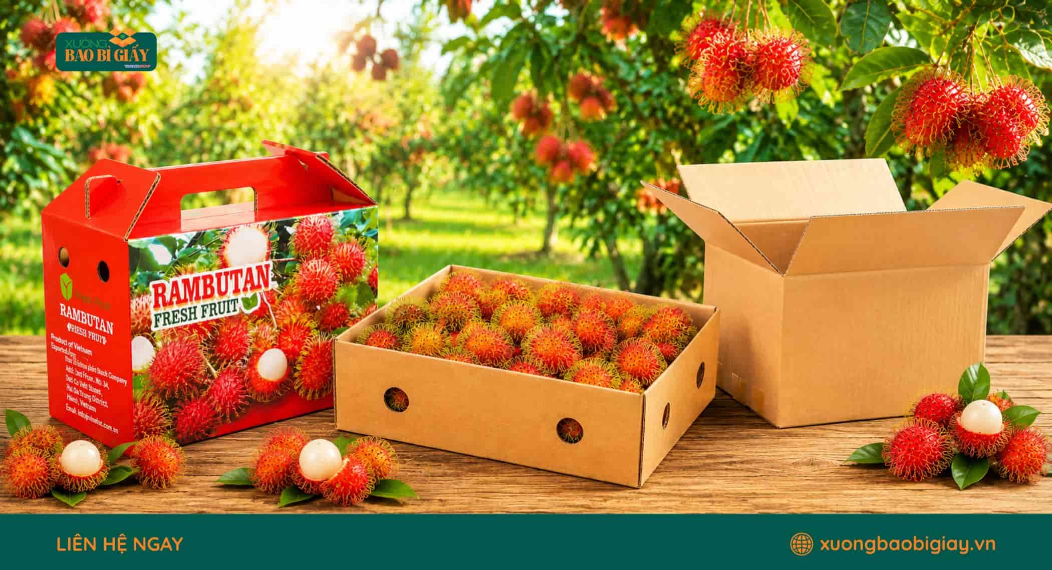 Các công đoạn sản xuất thùng carton từ tạo sóng, in ấn đến gia công hoàn thiện