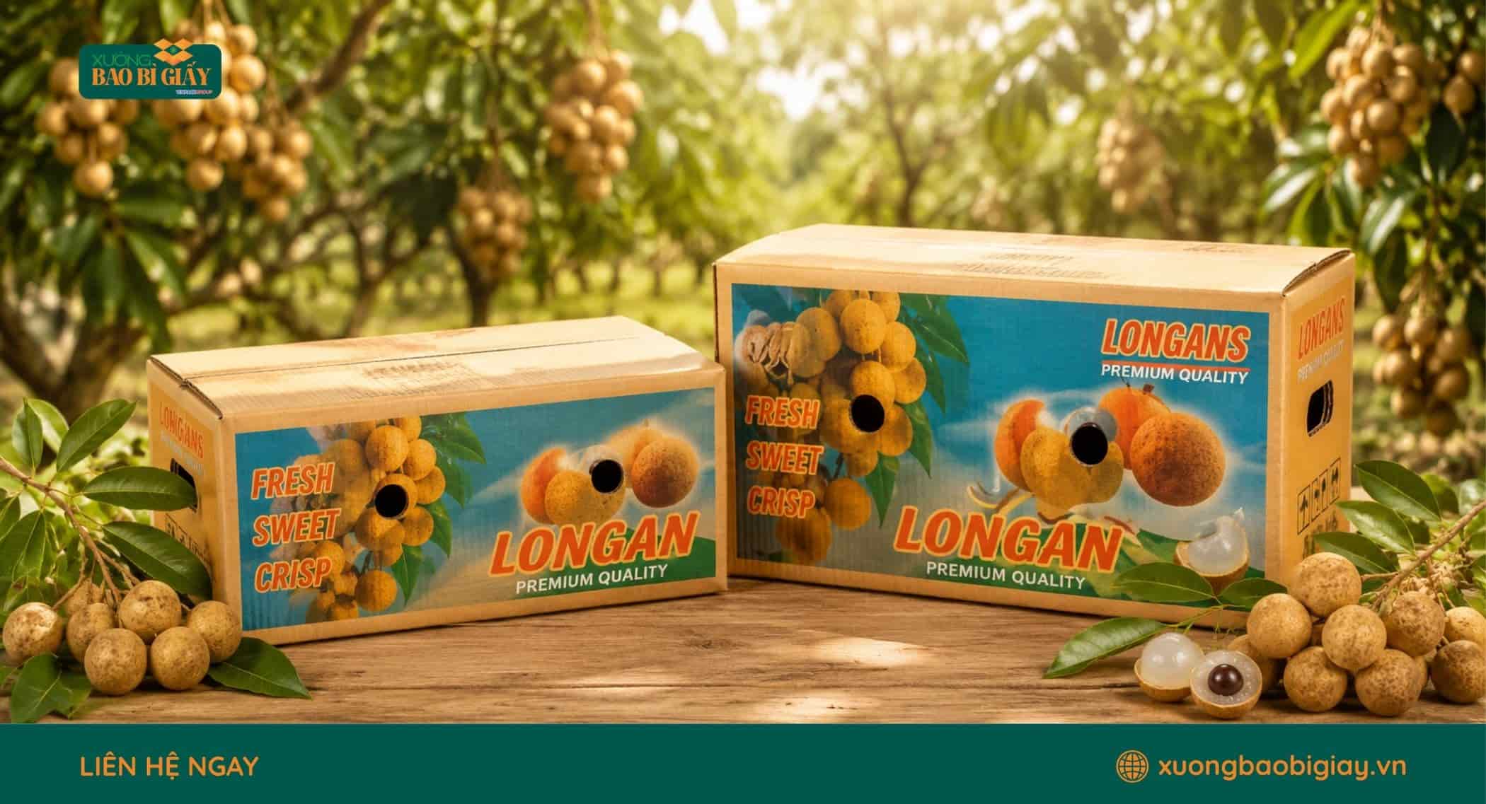 Sản xuất thùng carton đóng gói nhãn phục vụ phân phối và xuất khẩu
