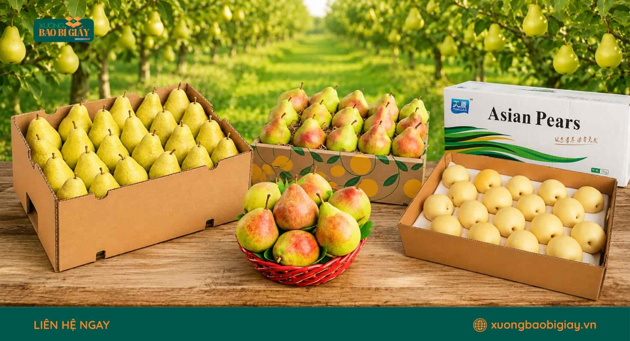 Thùng carton đóng gói lê giúp hạn chế va đập và nâng cao hiệu quả bảo quản trái cây