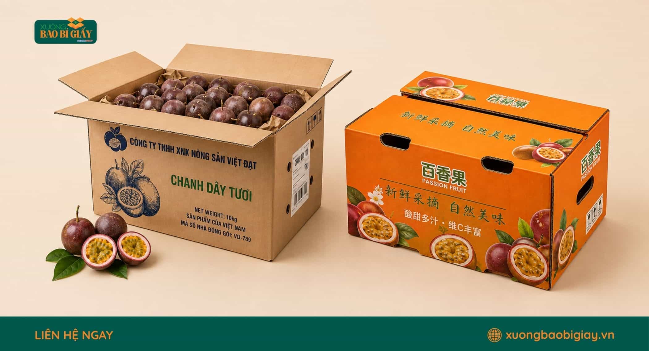 Vai trò của thùng carton bảo vệ chanh dây khi vận chuyển xa.