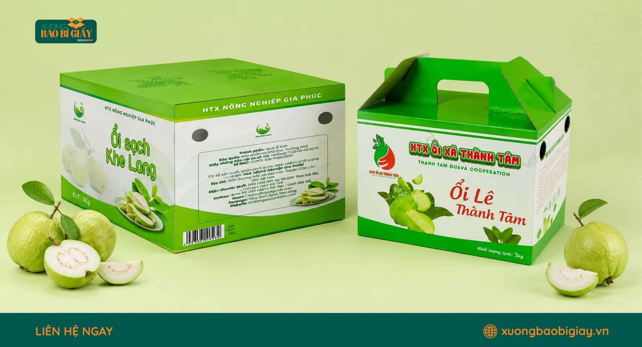 Thùng carton đựng ổi giúp hạn chế va đập và bảo vệ nông sản khi vận chuyển